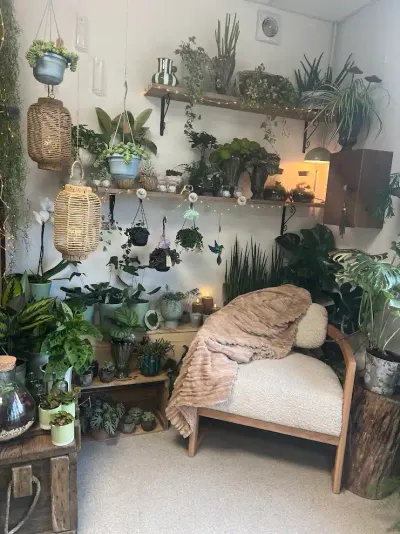 Coin cocooning de la boutique : fauteuil bouclé, plaid, lanternes en rotin et étagères de plantes d'intérieur