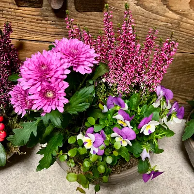 Coupe fleurie d'automne : chrysanthèmes roses, bruyère rose et pensées violettes et blanches, composée chez Herborium