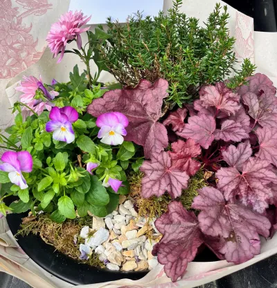 Coupe de plantes fleurie de deuil : heuchères pourpres, pensées, chrysanthème rose, thym et graviers