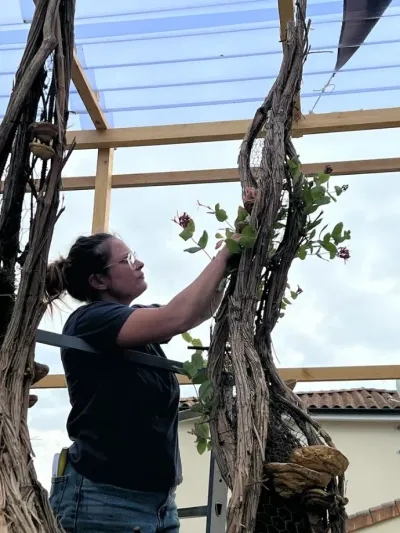 Installation de plantes grimpantes fleuries au sommet d'une spirale de la scénographie végétale