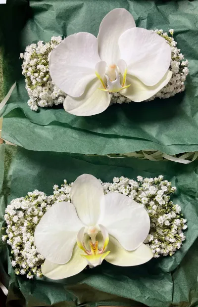 Deux bijoux floraux de mariage, chacun une orchidée blanche sur un lit de gypsophile, dans un papier vert