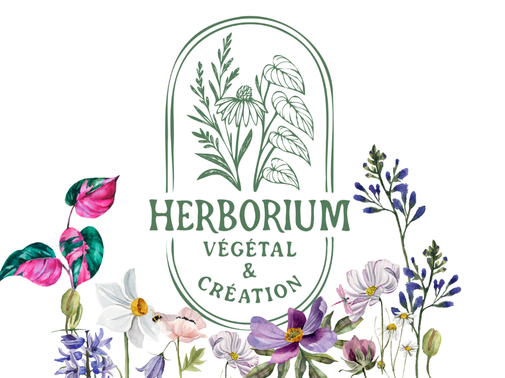 Logo Herborium avec des fleurs et plantes autour