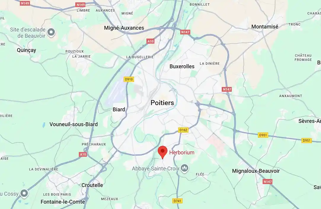 Herborium sur une carte de poitiers Herborium sur une carte de poitiers