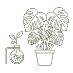 Pictogramme plantes et fleurs pas cher Pictogramme plantes et fleurs pas cher