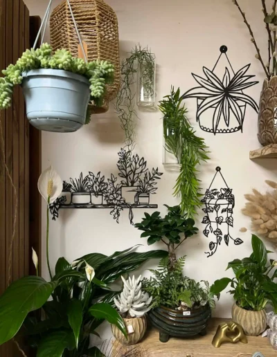 Plantes vertes en suspension et macrame pour decoration interieure proche Poitiers.
