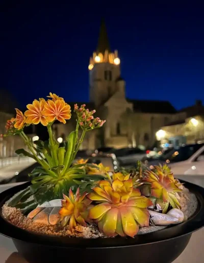 Composition de plantes grasses et succulentes en coupe noire style epure avec eglise en arriere plan
