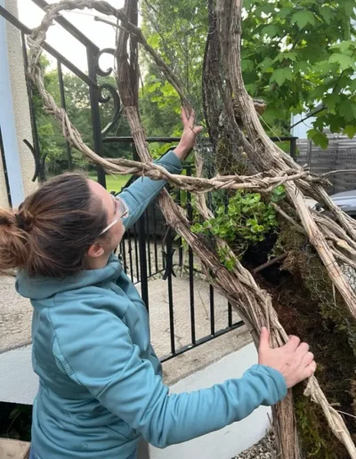 La scenographe vegetale tressant des lianes naturelles autour de la structure du decor Peoch