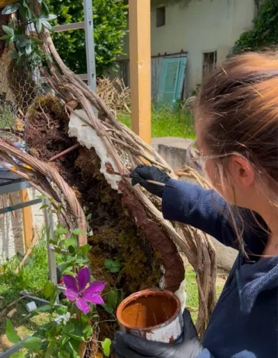 Peinture de la structure du decor vegetal pour imiter la couleur naturelle de la terre et du bois