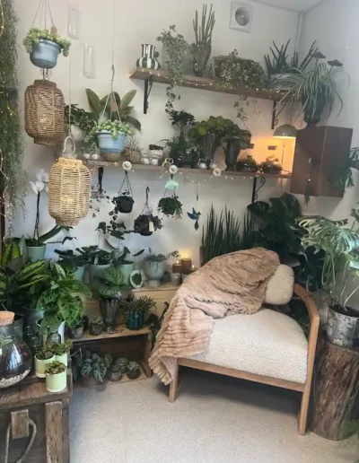boutique decoration vegetale plantes interieur rares herborium