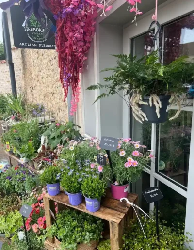 etalage plantes exterieur fleuries boutique herborium poitiers