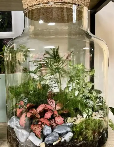 grand terrarium ecosysteme autonome plante interieur artisan poitiers